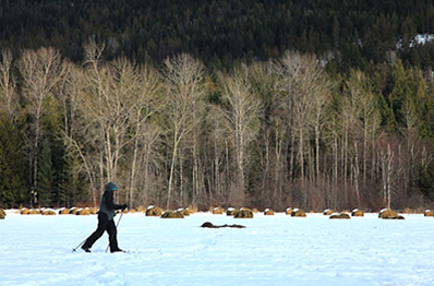 Kootenay Lake nordic skiing